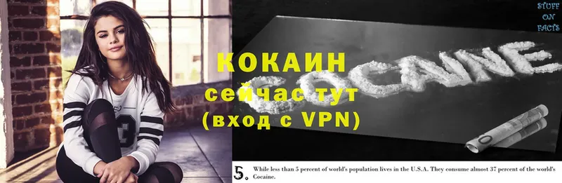 Cocaine Боливия  купить закладку  Гороховец 